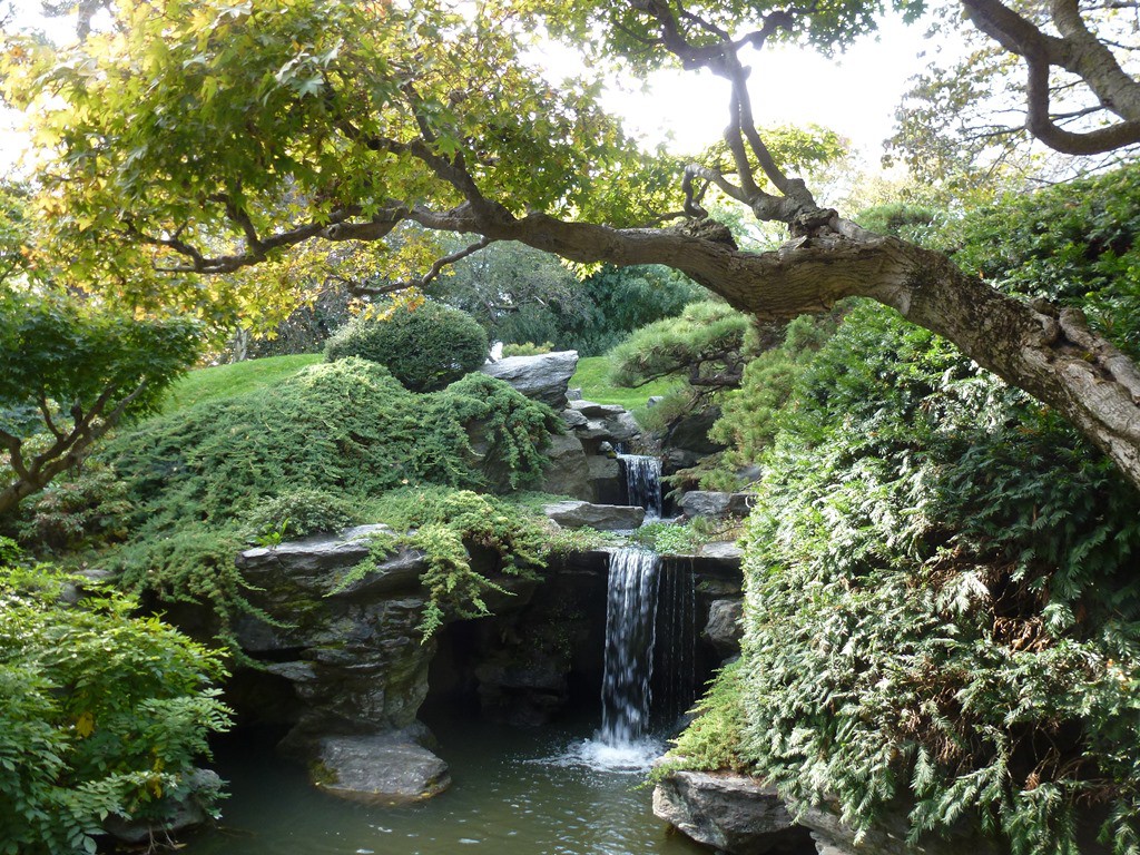 brooklyn Botanical Garden (4)