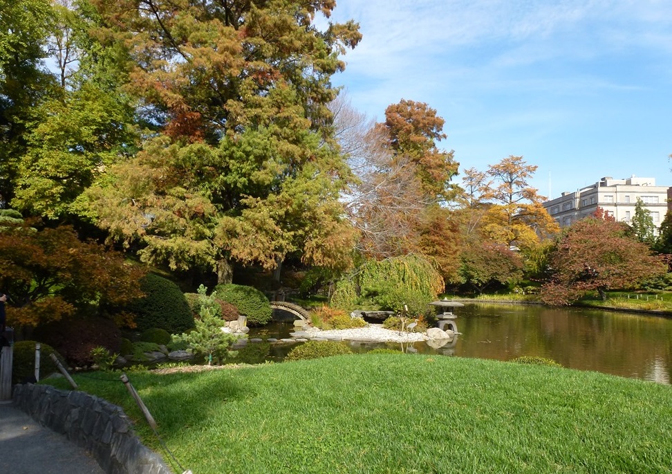 brooklyn Botanical Garden (3)